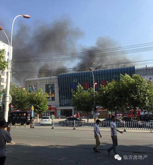 山东临沂爆料最新,最新爆料揭示惊人真相